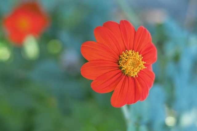 罚球杀手 罚球杀手