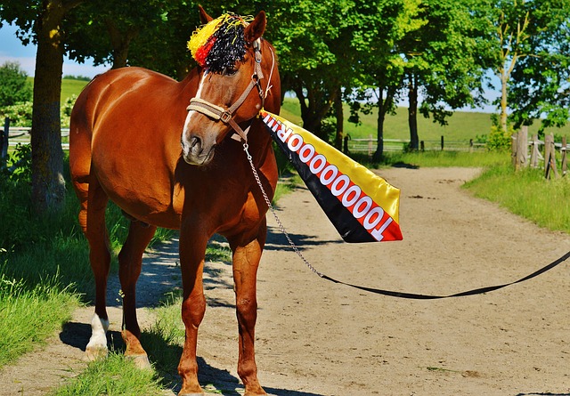舉個鮮活的 舉個鮮活的