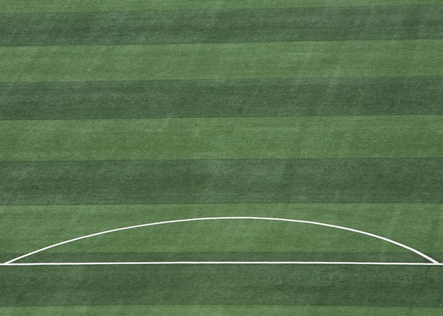 他们能通过 他们能通过