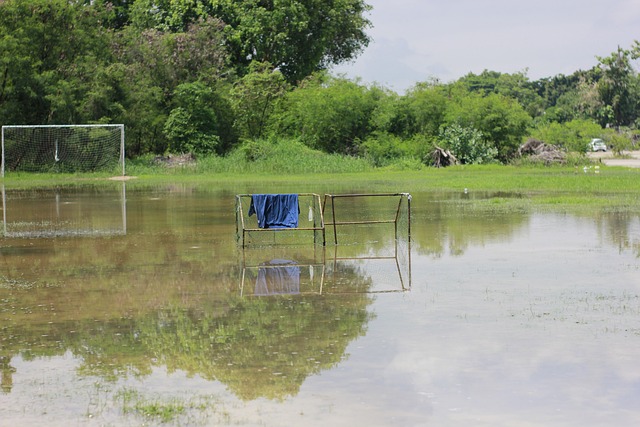 群的心头好 群的心头好